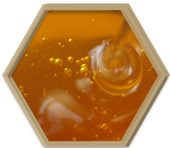 мед с пчелно млечице